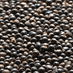 Guarana packshot